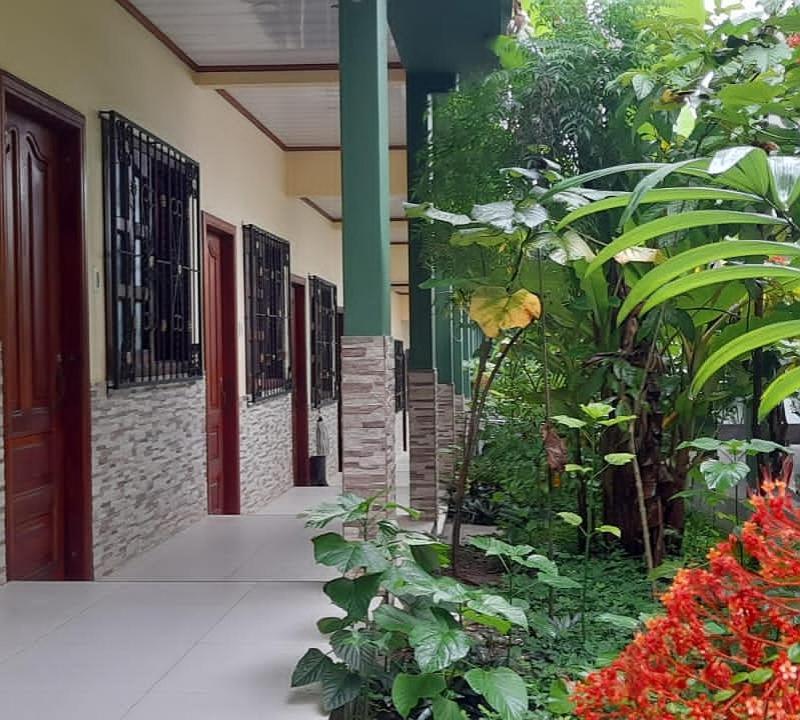 Wikungo Hotel Puerto Nariño Extérieur photo