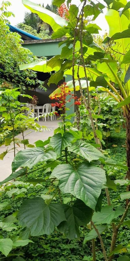 Wikungo Hotel Puerto Nariño Extérieur photo